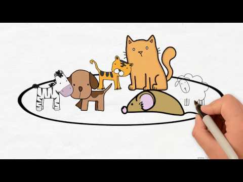 "比"  comparison in Chinese 中文的比较 - Chinese Grammar Simplified 201