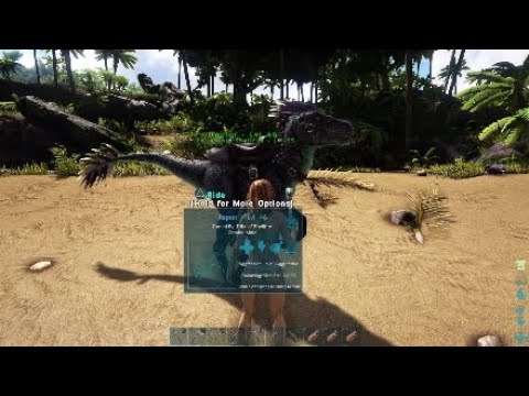 ARK Survival Evolved.:.RAPTOR Taming.:.Basics.:.PS4 Gameplay.:.