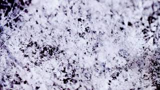 Kristin Hersh - Torque