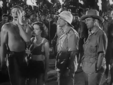 Every time the Tarzan yell was used in Tarzan and his Mate (1934)