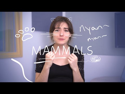 Weekly French Words with Lya - Mammals