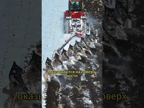 Why do you need to cultivate land on a snowy day?