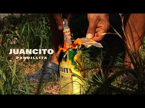 JUANCITO - PANDILLITA (VIDEOCLIP OFICIAL)