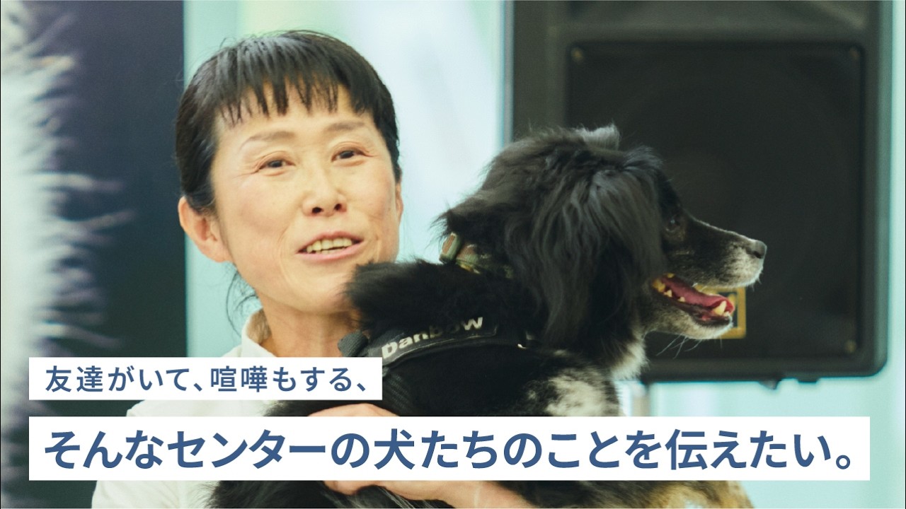  みんな違うから愛おしい！写真で知る保護犬たちのそれぞれの魅力【パナソニック公式】