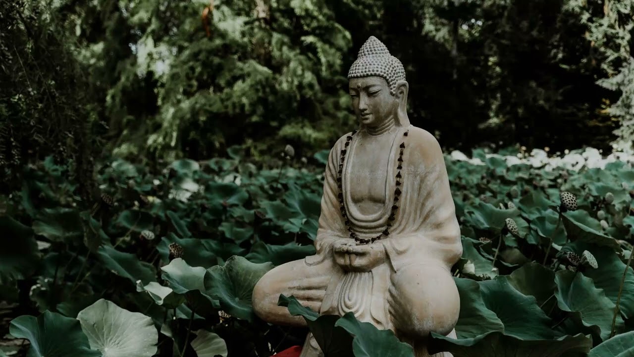 Mindfulness meditations by Terri Allen