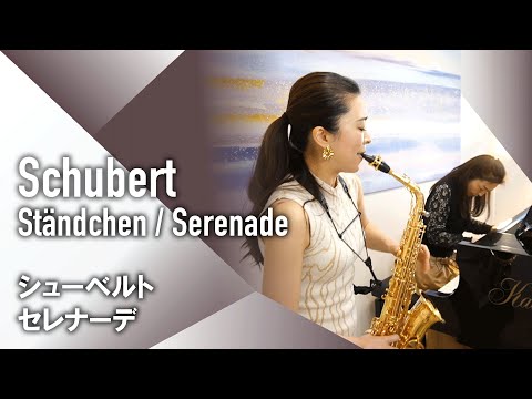 【Sax+Piano】F.Schubert - Ständchen / Serenade【サクソフォン+ピアノ】F.シューベルト - セレナーデ