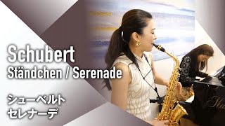 Download lagu 【Sax Piano】F.Schubert - Ständchen / Serenade【サクソフォン ピアノ】F.シューベルト - セレナーデ mp3 Download lagu 【Sax Piano】F.Schubert - Ständchen / Serenade【サクソフォン ピアノ】F.シューベルト - セレナーデ mp3