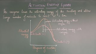 ACTIVATION ENERGY GRAPH : ENZYMES ( BIOMOLECULES-CLASS XI NCERT)