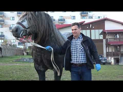 In vizita la Dorin Blenda de la Cluj - 2025 Nou!!!