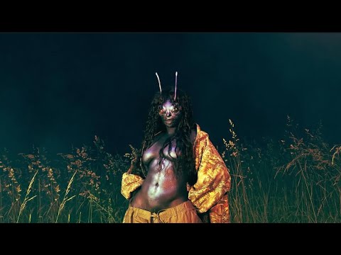 Sza-Brace Yourself (Official Audio)