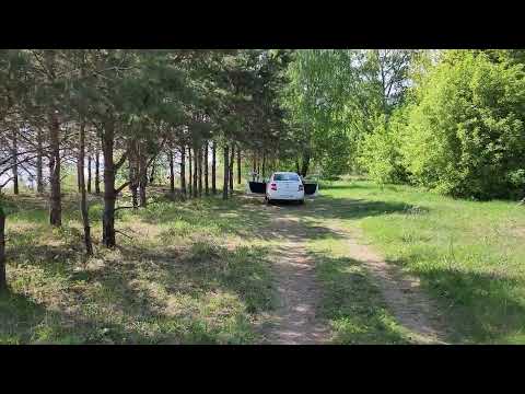 Pride Diamon 10 от  Ural pt 1200.2,Pride H1 от rockford p200