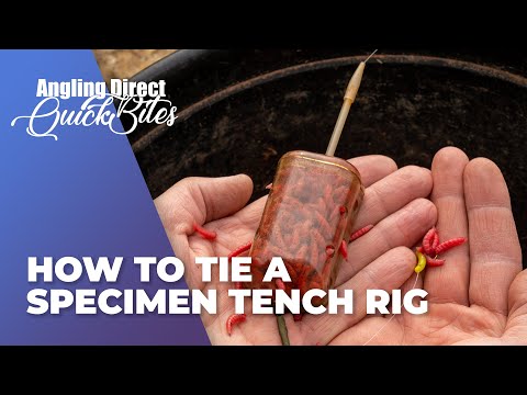 How To Tie A Specimen Tench Rig – Coarse Fishing QuickBite