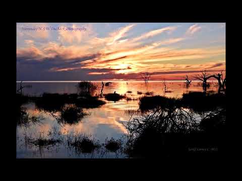 Dum aurora finem daret from Marenzio's Sacrae Cantiones arr recorders