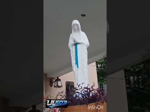 San José de la montaña.  detalles!
