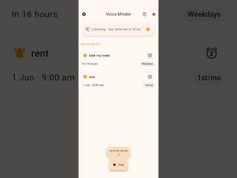 Voice Minder: Reminders Timers