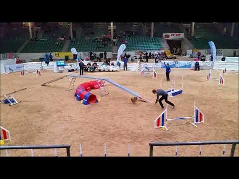 B A C K 2018 Final Saturday