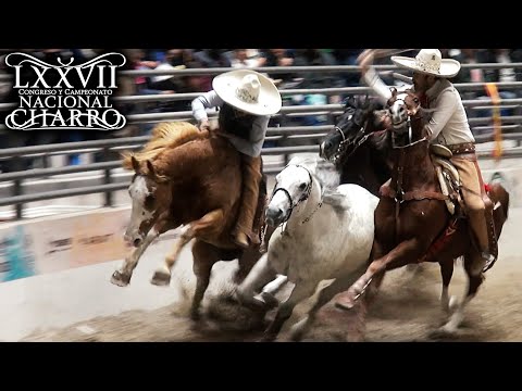 PASO DE LA MUERTE dia 21 gran FINAL- Congreso Aguascalientes 2021