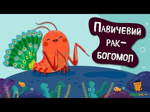 Дива природи. Явища навколо нас. Рак-богомол розкішний