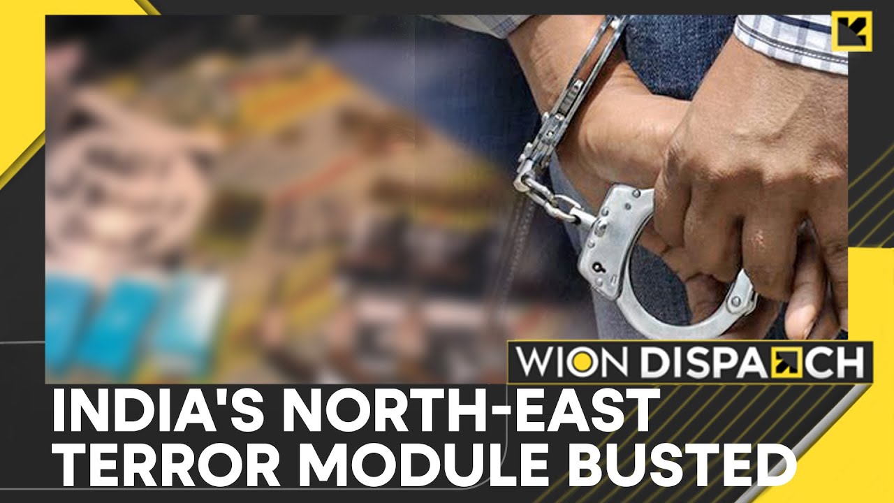 India's Big Terror Module Bust: 11 Held In Multi-State Sweep | WION Dispatch