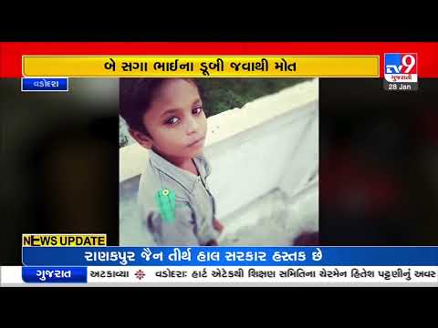 વડોદરાઃ વાઘોડિયાના રૂસ્તમપુરા નર્મદા બ્રાંચ કેનાલમાં બે સગા ભાઈ ડૂબ્યા