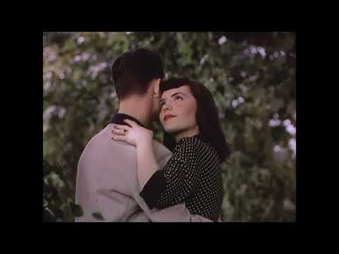 Play Video Youtube Video