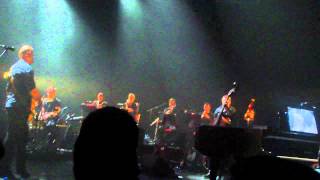 Dominique A - Andromeda Lodge / Contre Un Arbre (live @ Cirque Royal)