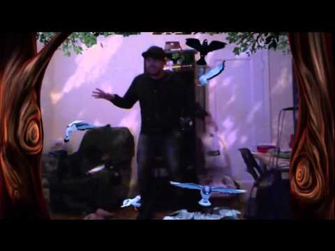 MLG Weekly 29 - 7 - Nexy Plays