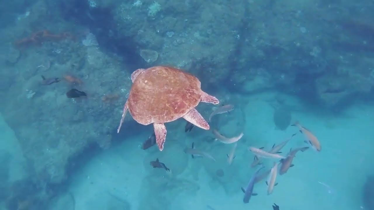 Ocean 4 Life – Marine protection for sustainable livelihoods