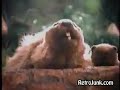 Doritos Pizza Cravers Ad Beavers 1996