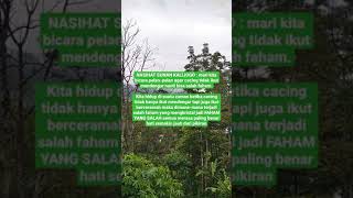Download lagu Nasehat Sunan Kalijaga mp3 Download lagu Nasehat Sunan Kalijaga mp3