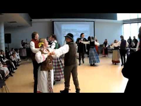 Vengerka -  gypsy, hungarian or european?