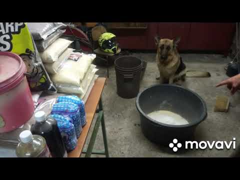 Výroba boilie v domácích podmínkách