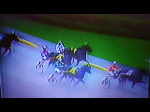 Kriteriet 1984 Solvalla