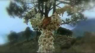 East India Youth - Total Strife Forever I