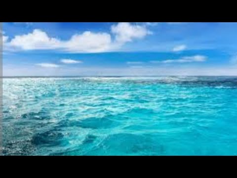 امواج البحر بفصل الصيف/انظر الى المد والجزر.