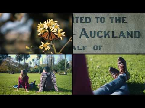 The Auckland Experience