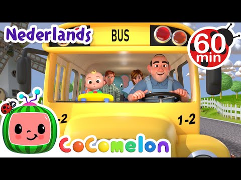 De wielen van de bus | CoComelon Nederlands - Kinderliedjes | Meezingen met liedjes voor kinderen