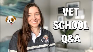 STUDY BREAK VET SCHOOL Q&A