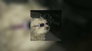 Download lagu sunday best surfaces sped up mp3 Download lagu sunday best surfaces sped up mp3