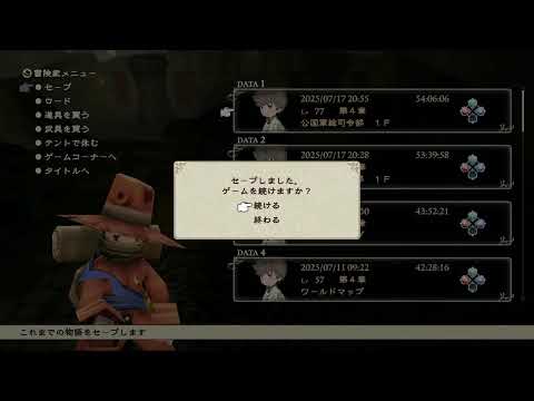 BRAVELY DEFAULT FLYING FAIRY HD REMASTER #42