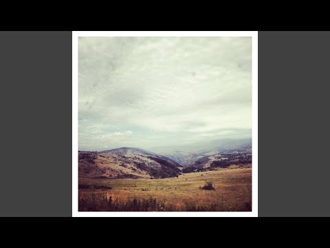De Bosc Ii - Pau Vallvé