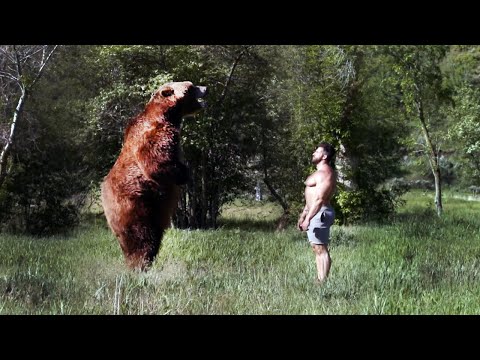 【クマvs人間】Man vs. Bear | “全身全霊”  [FULL] 期間限定公開  (ディスカバリーチャンネル)