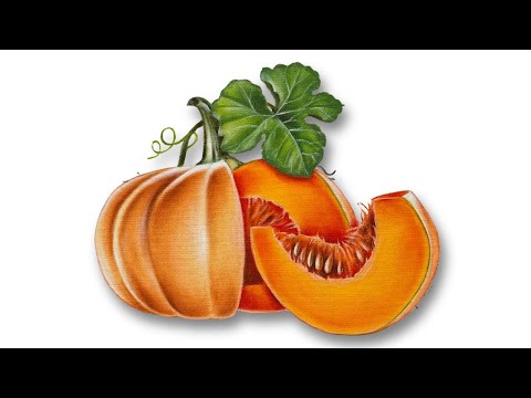 PINTANDO ABÓBORA MORANGA - semaninha de legumes