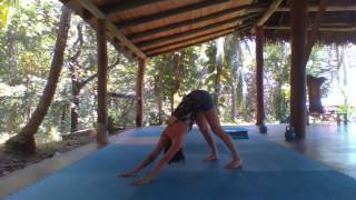 FlowFit 30 Minute Workout with Coach Summer