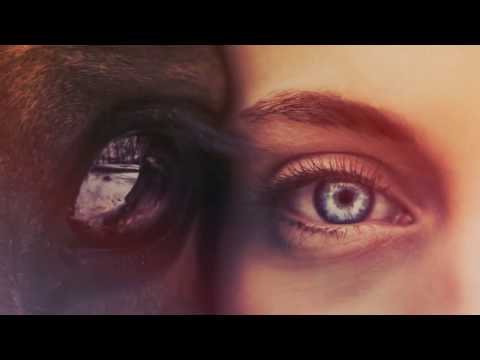 Tierkommunikation mit Pferden