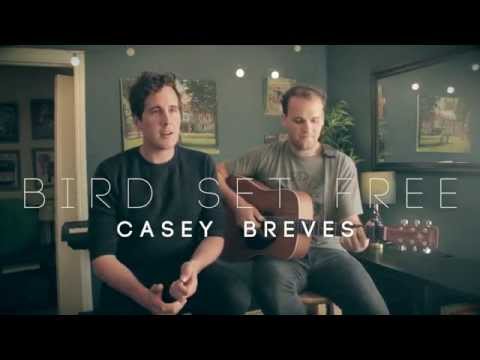 Bird Set Free - Casey Breves live cover ft. Jason Pitts