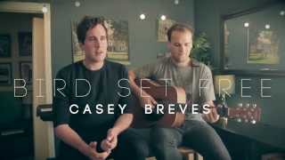 Bird Set Free - Casey Breves live cover ft. Jason Pitts