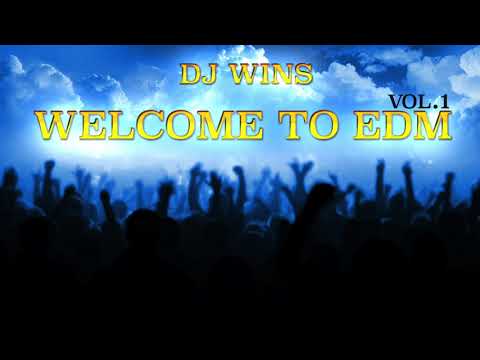 DJ Wins - Welcome to EDM vol.1 2018