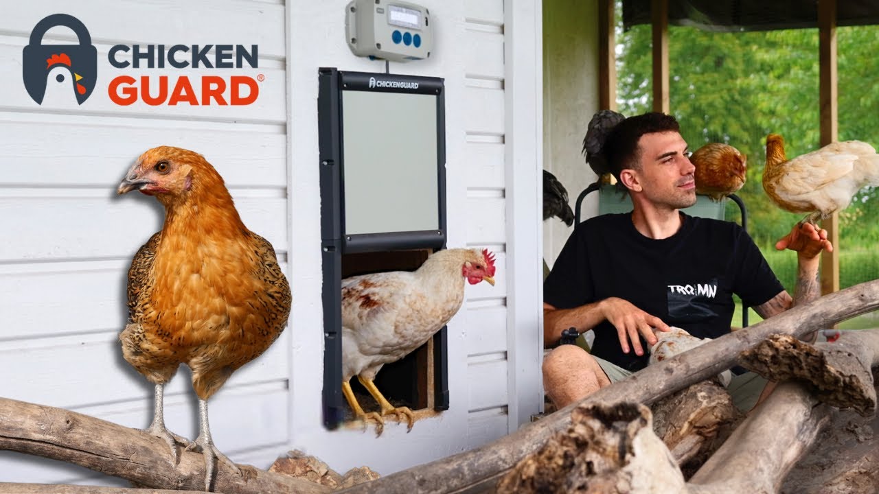 YouTube video thumbnail