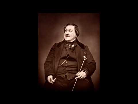 「泥棒」カササギはいません!